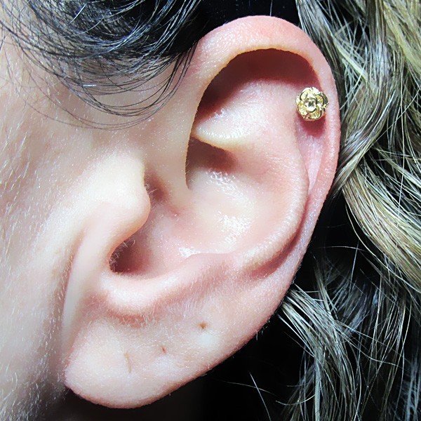 Piercing de Orelha Rosa Dourado 6ORE446 Piercing Mania