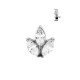 Piercing Labret de Tragus Marquise - Flor de Zircônia - Aço Cirúrgico - 7TRG71