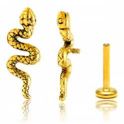 Piercing Labret - 100% Aço Cirúrgico - PVD Gold - Serpente - 7TRG110